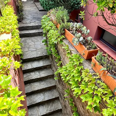 Canta La Mar - Vue Exceptionnelle *