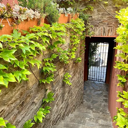 Canta La Mar - Vue Exceptionnelle Daire Collioure